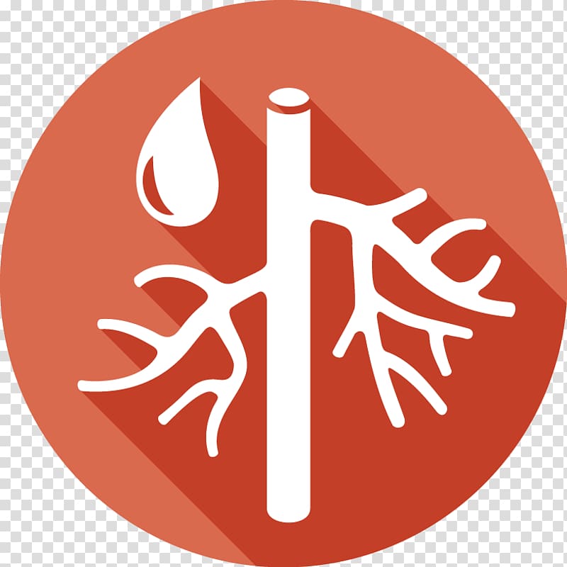 Vascular surgery Organ transplantation Medicine Health, health transparent background PNG clipart