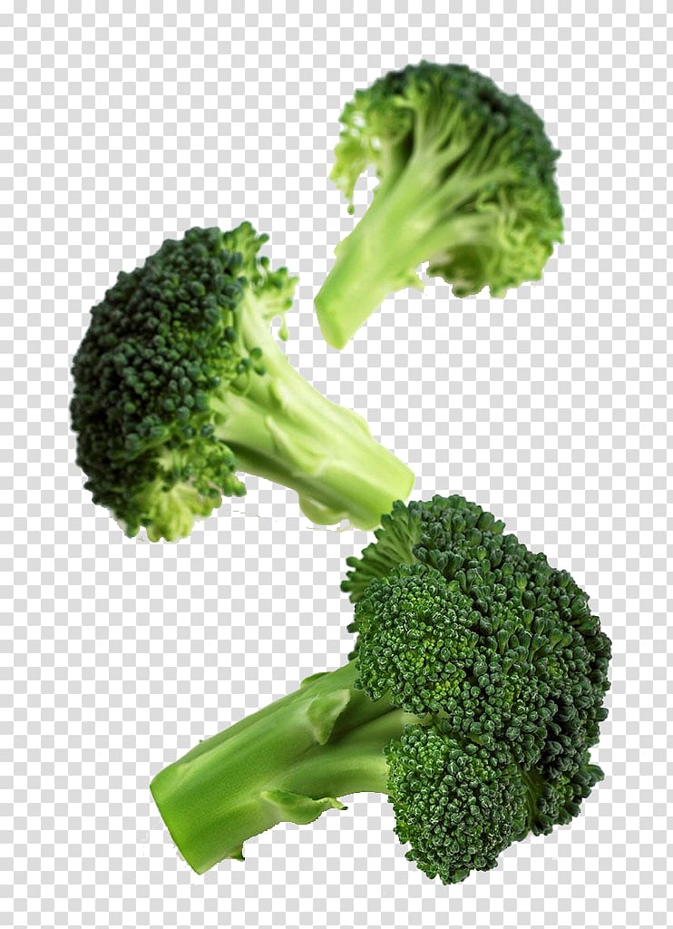 Romanesco broccoli Cauliflower Vegetable Cabbage, Broccoli transparent background PNG clipart