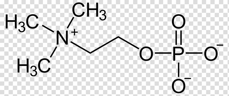 Molecule Choline Betaine Trimethylglycine Amino acid, others transparent background PNG clipart