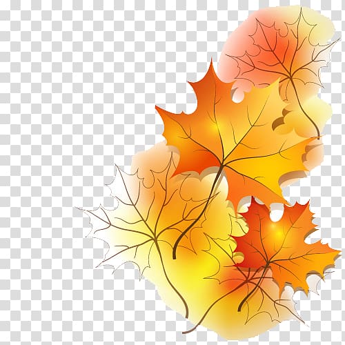 four maple leaves illustration, Ramadan Prayer Blessing Dua Jumuah, Maple Leaf transparent background PNG clipart