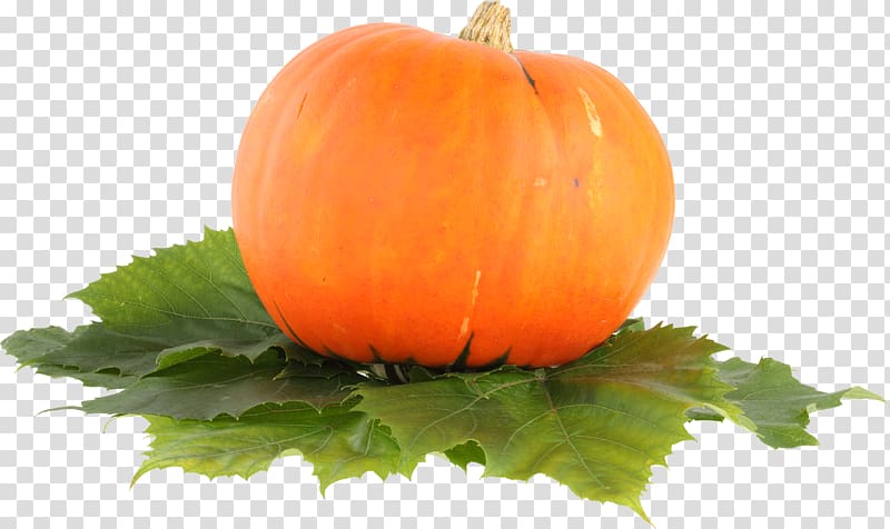 Pumpkin pie Cucurbita pepo Jack-o\'-lantern, Pumpkin transparent background PNG clipart