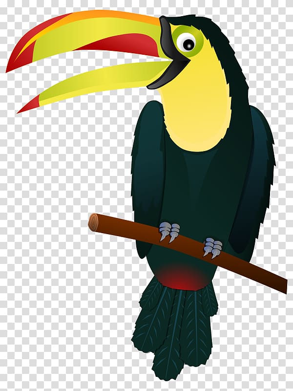 Toucan Bird , Hawaiian Animal transparent background PNG clipart