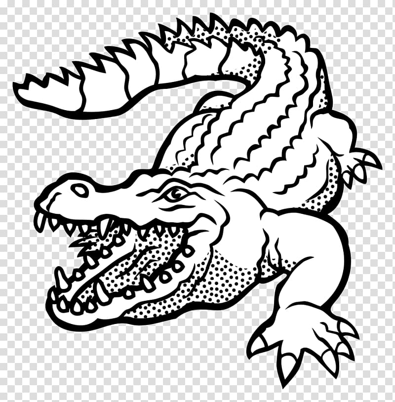 Alligators Crocodile clip Drawing, crocodile transparent background PNG clipart