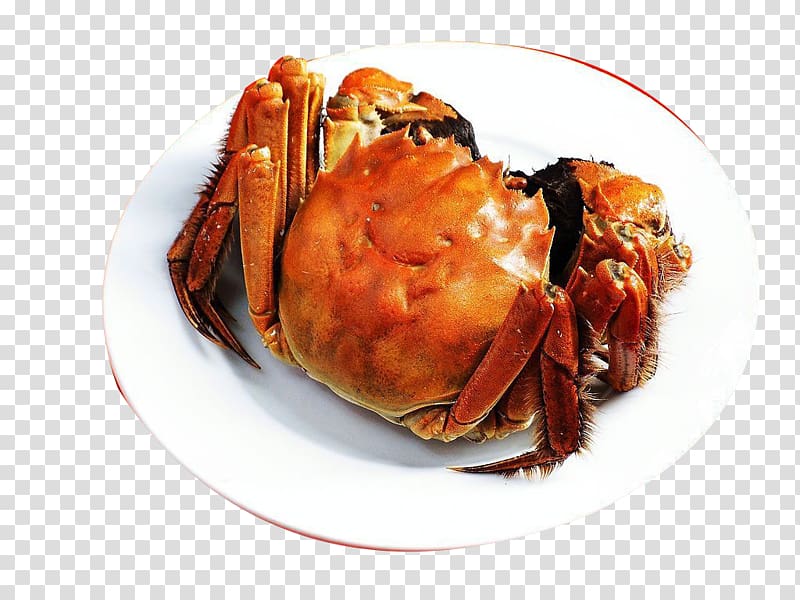 Chinese mitten crab Yangcheng Lake Gucheng Lake Giant mud crab, A crab transparent background PNG clipart