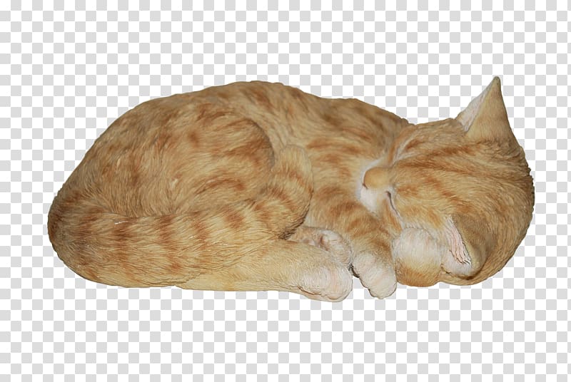 Real Life Vivid Arts Sleeping Cat Sleeping Siamese Cat Real Life Resin Ornament by Vivid Arts Vivid Arts Dreaming Cat Ornament, animal lover gifts transparent background PNG clipart