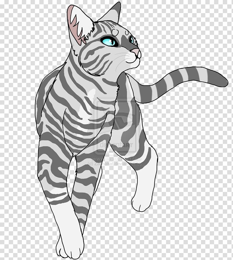 Cat Warriors Silverstream Thistleclaw, eucaliptus transparent background PNG clipart