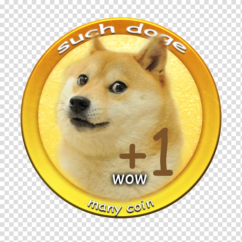 Doge Meme Transparent Background Png Cliparts Free Download Hiclipart - decal roblox doge