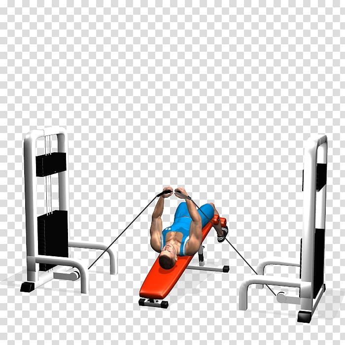 Fly Bench press Pectoralis major Muscle, chest muscle transparent background PNG clipart