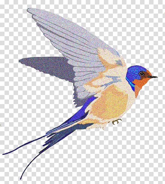 Barn swallow, others transparent background PNG clipart