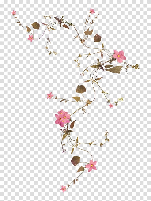 Flower Blossom Plants Vine, flower transparent background PNG clipart