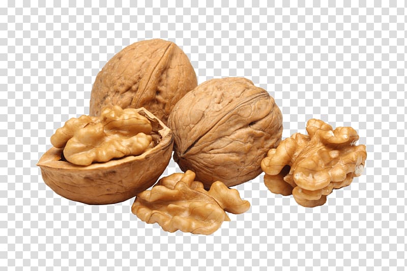 brown walnuts, Walnut Group transparent background PNG clipart