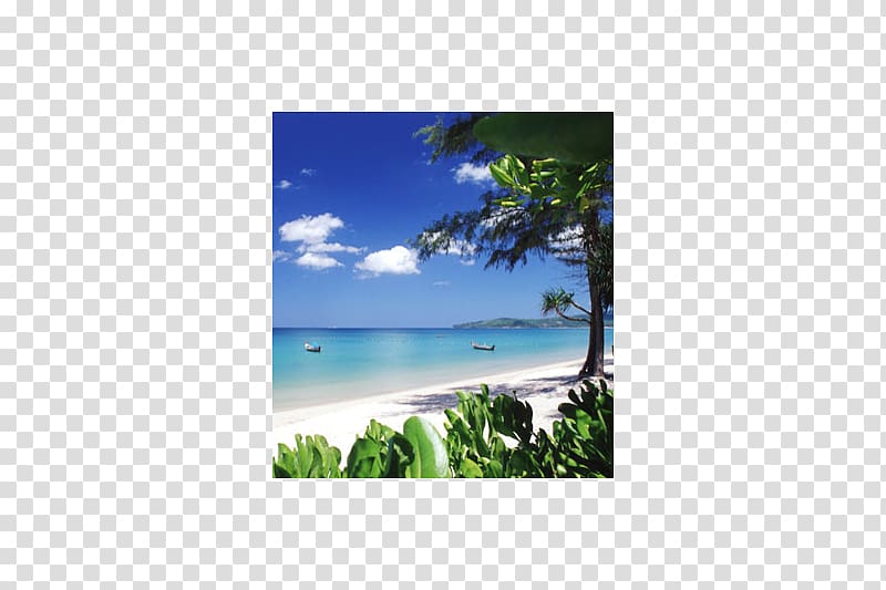 Beach Wayang Apartment Desktop , Phuket Province transparent background PNG clipart