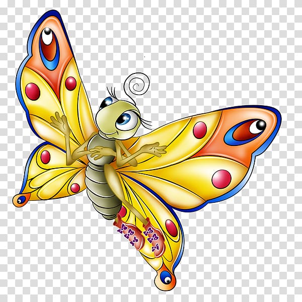 Butterfly Open Illustration , ido transparent background PNG clipart
