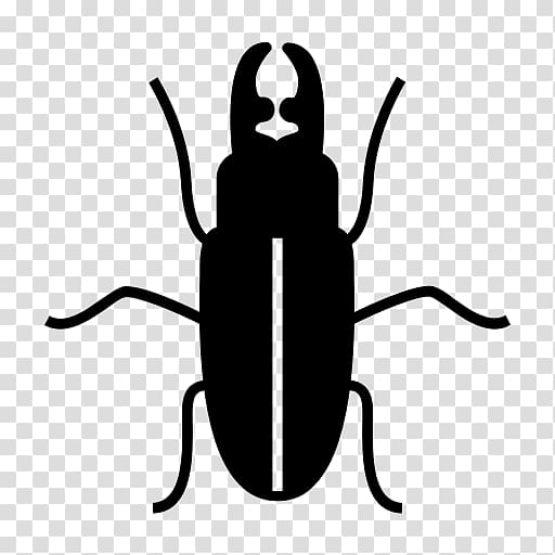 Varied carpet beetle Pest Control Rat, beetle transparent background PNG clipart