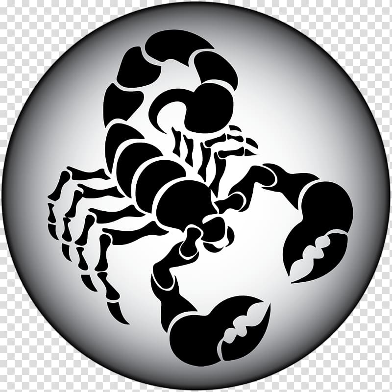 Scorpion , Scorpio transparent background PNG clipart