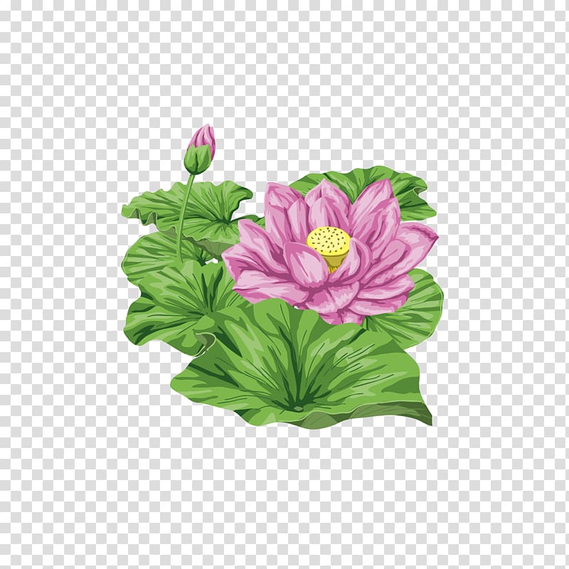 Nelumbo nucifera Embroidery Flower bouquet, Hand-painted lily transparent background PNG clipart