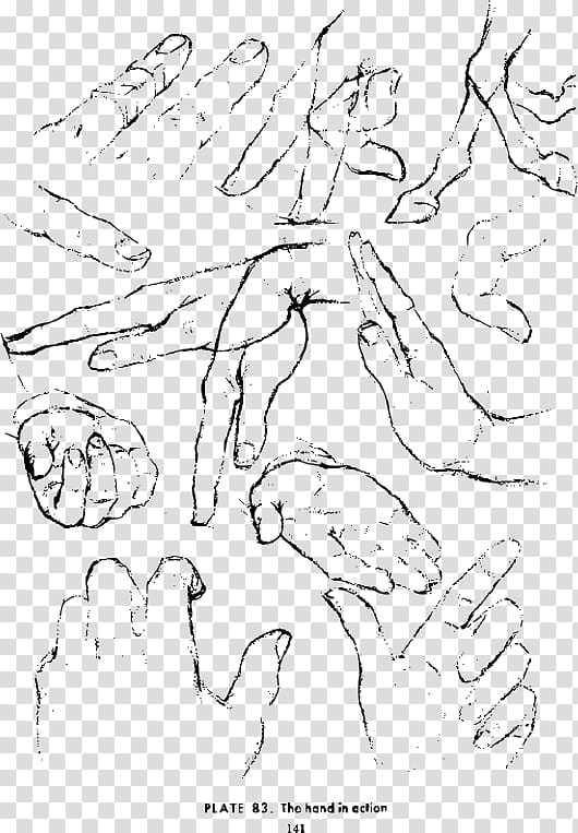 Drawing Hand Croquis Sketch, hand transparent background PNG clipart