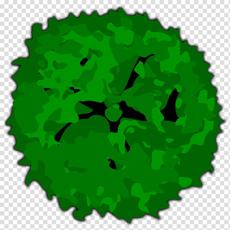 round green vegetables, Tree Shrub , tree top view transparent background PNG clipart