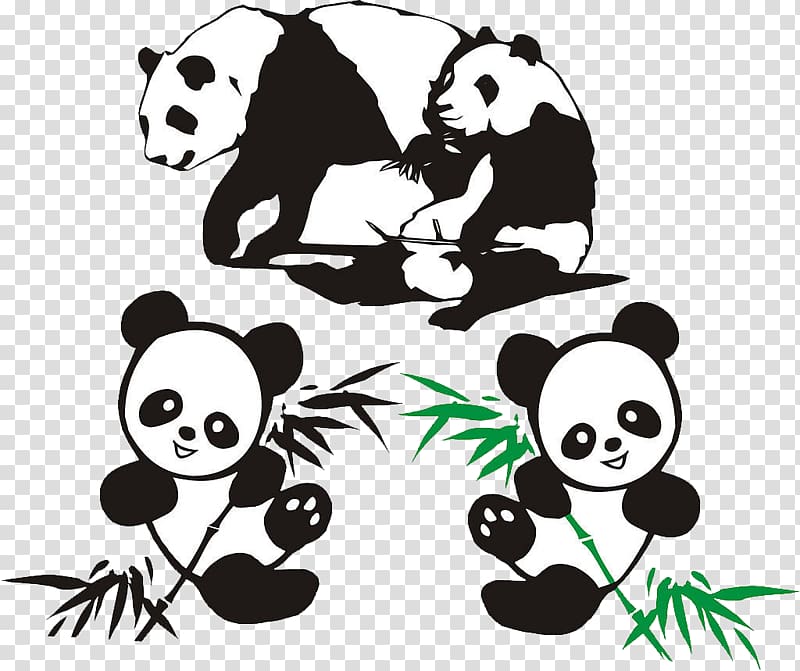 Giant panda Red panda Bamboo, Panda eating bamboo transparent background PNG clipart