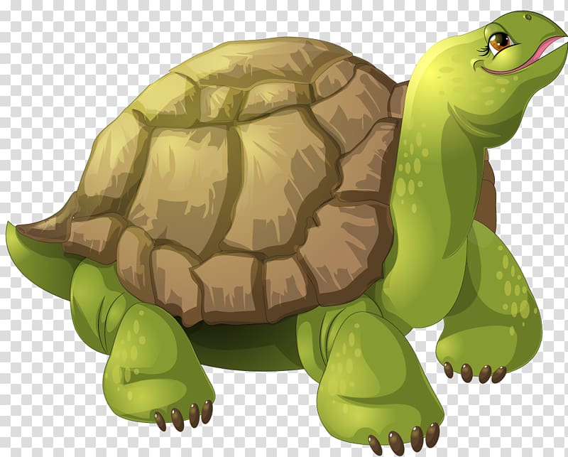 Turtle Animation, turtle transparent background PNG clipart