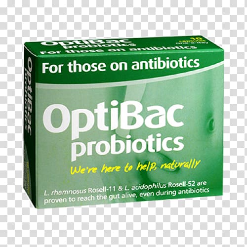 Dietary supplement Probiotic Saccharomyces boulardii Lactobacillus acidophilus Gastrointestinal tract, Antibiotic transparent background PNG clipart