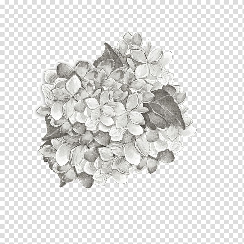 Black and white Petal Pattern, Grey plant cultivation transparent background PNG clipart