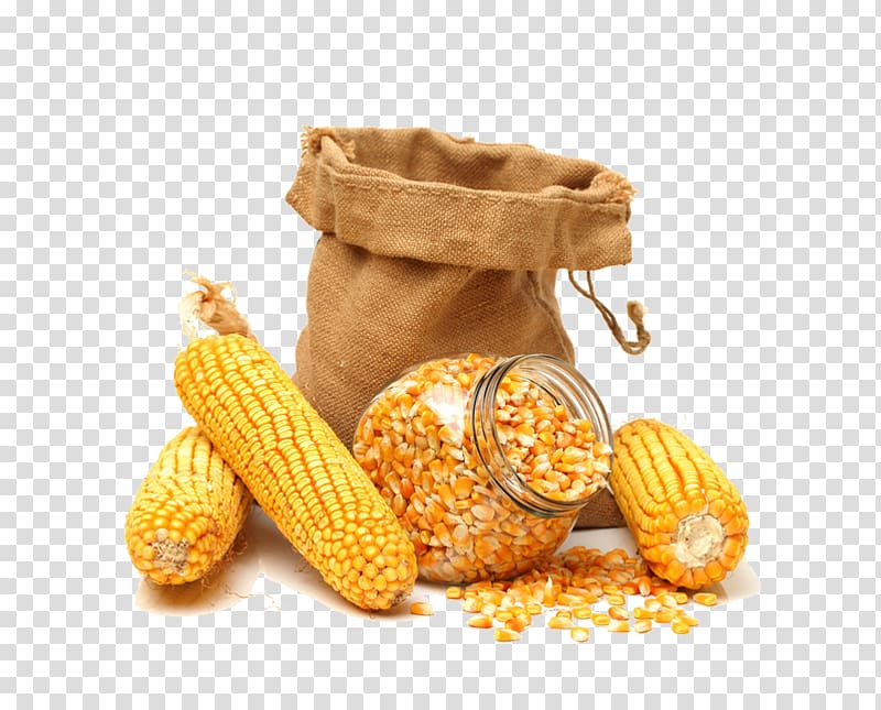 Corns with bag illustration, Maize Corn kernel Sweet corn Cereal Grain, Corn  and corn kernels transparent background PNG clipart