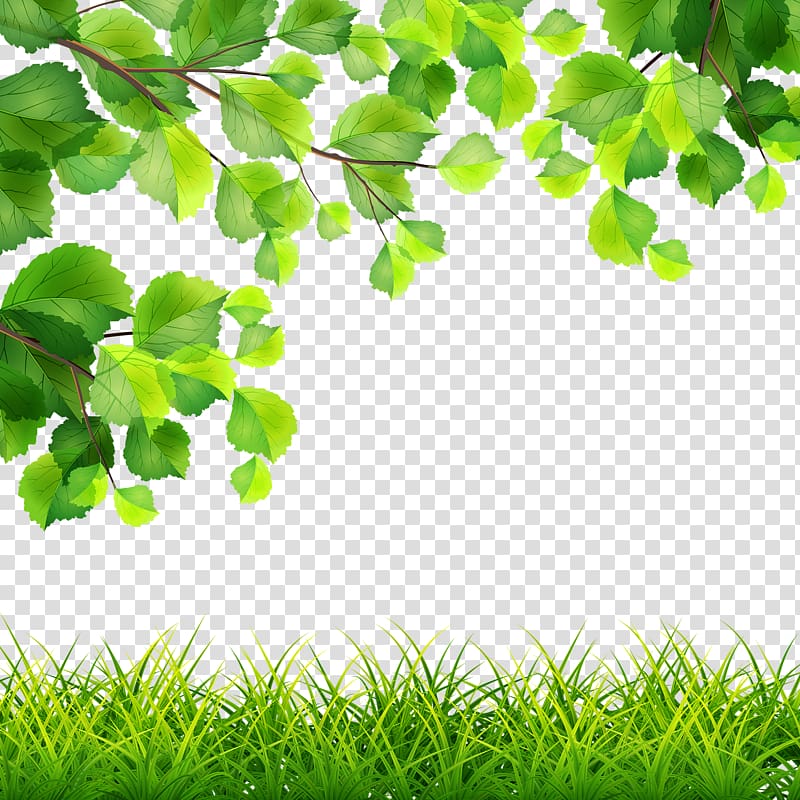green tree and grass illustration, Green Branch Illustration, Trees grass transparent background PNG clipart