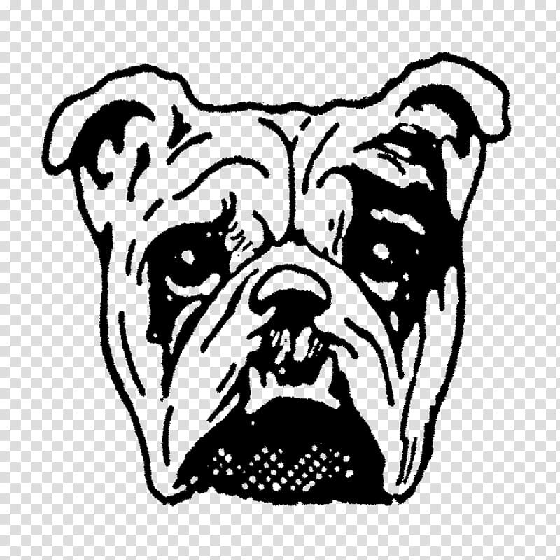 Dog breed Non-sporting group Rubber stamp Face , Face transparent background PNG clipart