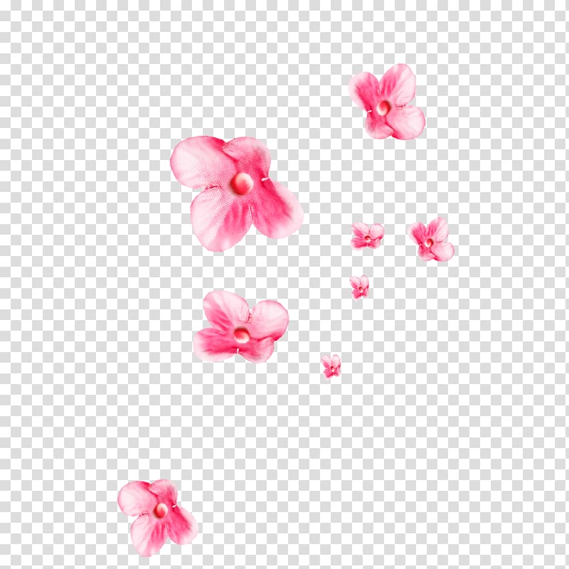 , Floating Flower transparent background PNG clipart