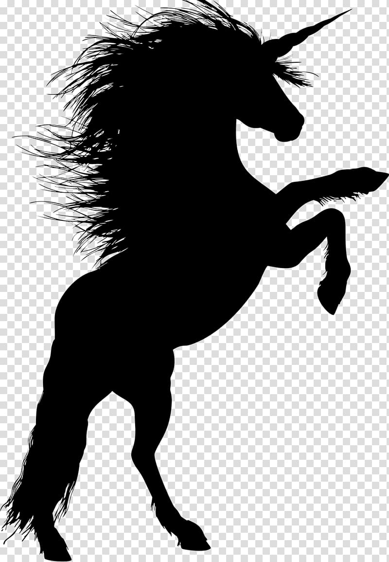 Horse Stallion Rearing Silhouette Unicorn, horse riding transparent background PNG clipart