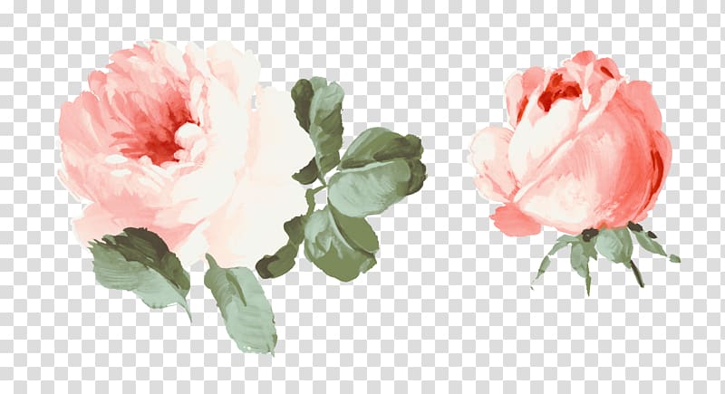 Cut flowers Gouache Beach rose, pink roses transparent background PNG clipart