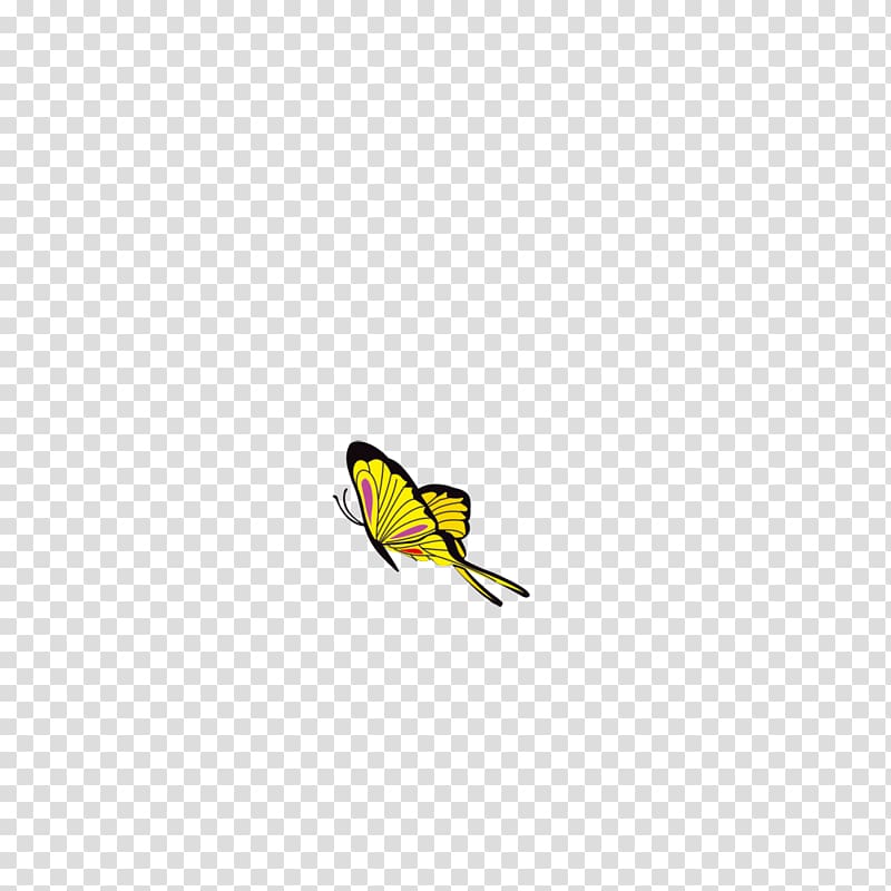 Butterfly Yellow Wing Insect , butterfly transparent background PNG clipart