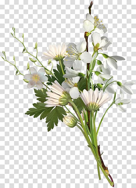 Flower Nosegay White Chrysanthemum, bouquet transparent background PNG clipart