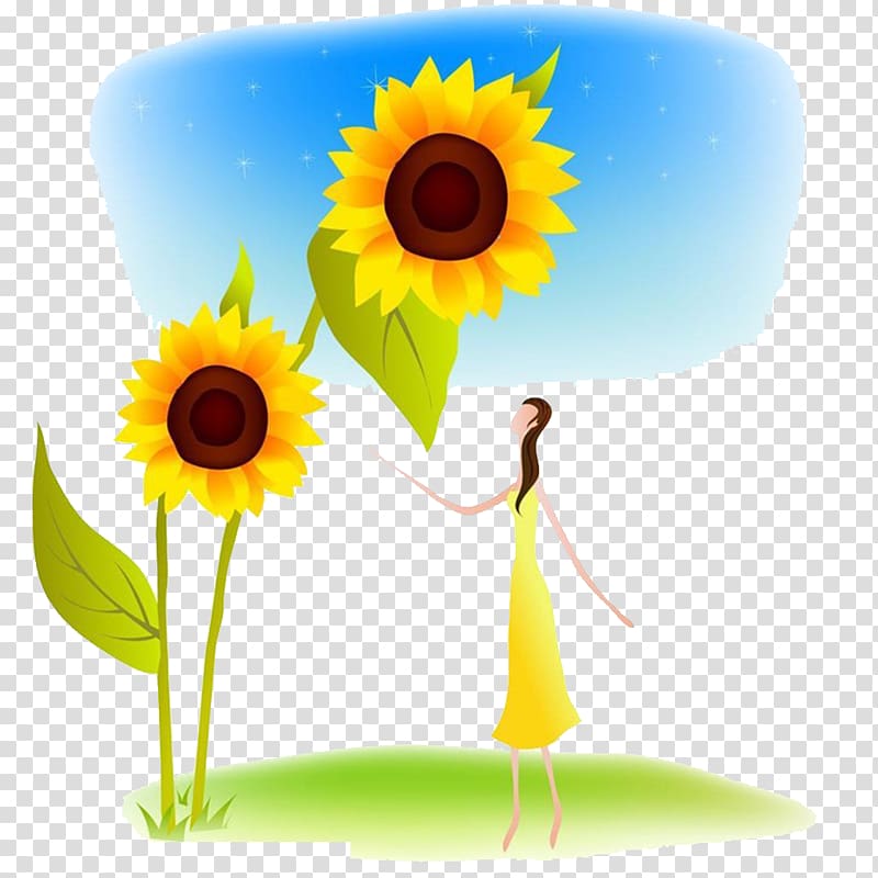 Cartoon Common sunflower Illustration, sunflower transparent background PNG clipart