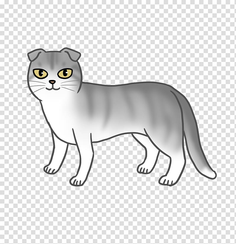 Whiskers Wildcat Dog Mammal, scotish fold transparent background PNG clipart