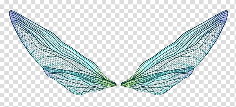 Feather Bird, Hand-painted feather wings material,Hand-painted cartoon fantasy wings transparent background PNG clipart
