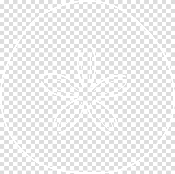 White House New York City Business Research United States Geological Survey, sand dollar transparent background PNG clipart