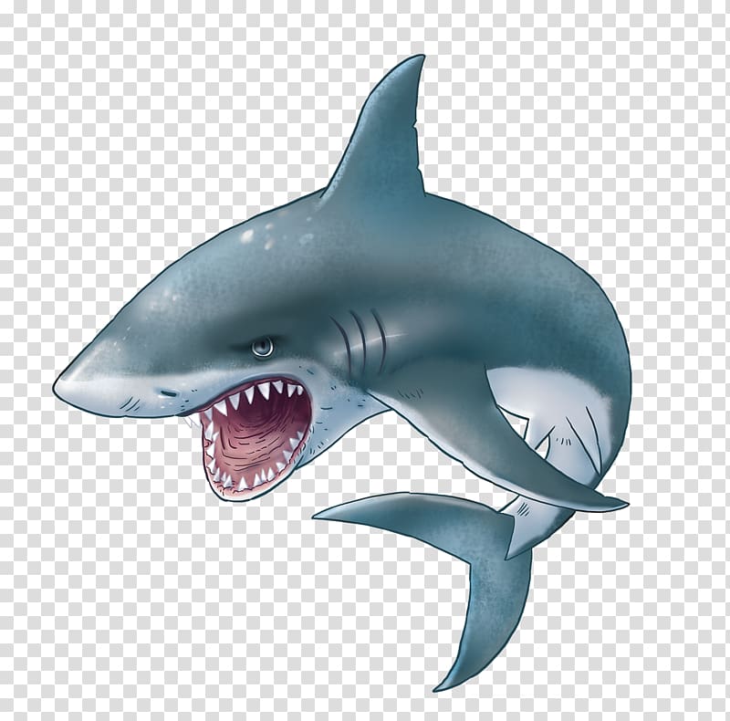 Shark Sticker , sharks transparent background PNG clipart
