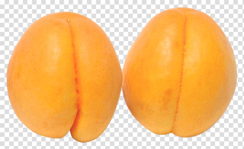 Apricot , Two Apricots transparent background PNG clipart