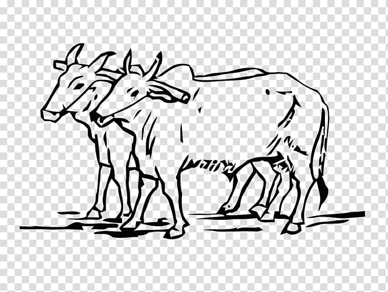 Ox Cattle Drawing Line art Do Bailon Ki Katha, ox transparent background PNG clipart