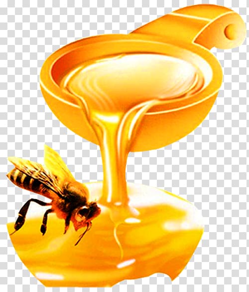 Honey bee Organic food Honey bee Insect, Acacia honey transparent background PNG clipart