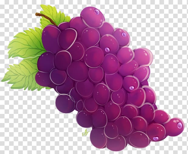 Grape seed extract Seedless fruit Berry, grape transparent background PNG clipart