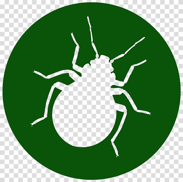 Cockroach Mosquito Pest Control Exterminator, Bug transparent background PNG clipart