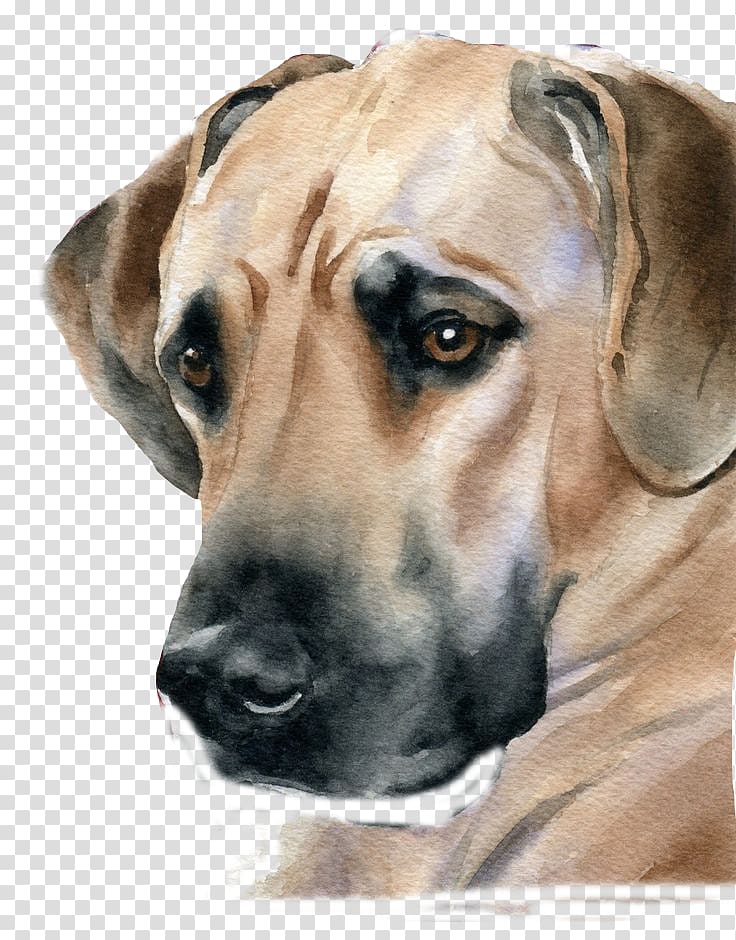 Great Dane Scottish Terrier Puppy Watercolor painting Portrait, Big brown dog transparent background PNG clipart