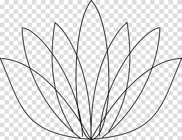 Nelumbo nucifera Egyptian lotus Drawing Flower , Lotus outline transparent background PNG clipart