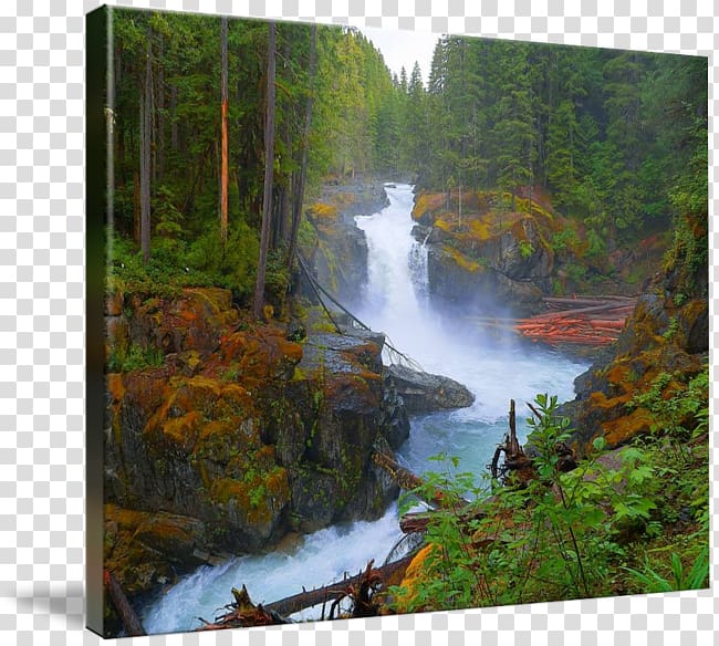 Waterfall Stream Gallery wrap Water resources Nature reserve, Waterfall Forest Park Kanching transparent background PNG clipart