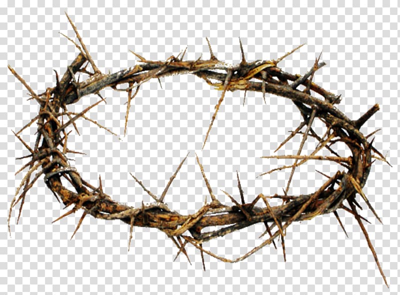 thorn crown illustration, Crown of thorns Thorns, spines, and prickles Christianity Crucifixion of Jesus, jesus easter transparent background PNG clipart