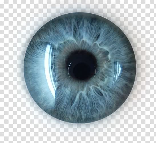 Eye Lens, Eye transparent background PNG clipart