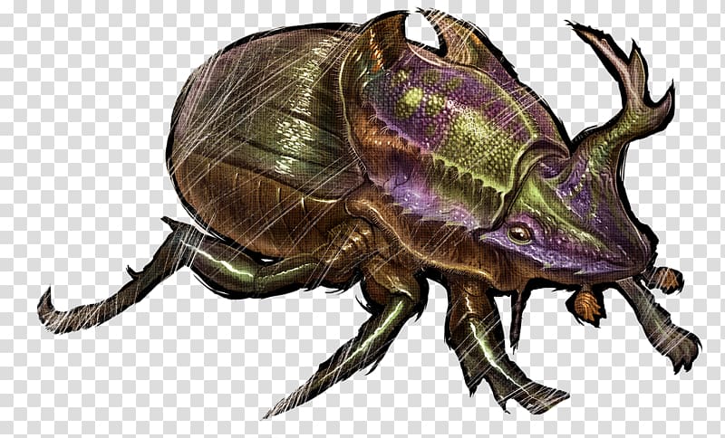 ARK: Survival Evolved Dung beetle Feces Xbox One, ark shell transparent background PNG clipart